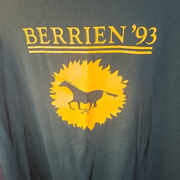 vintage single stitch t shirt Berrien'93 Size M - Picture 2 of 5